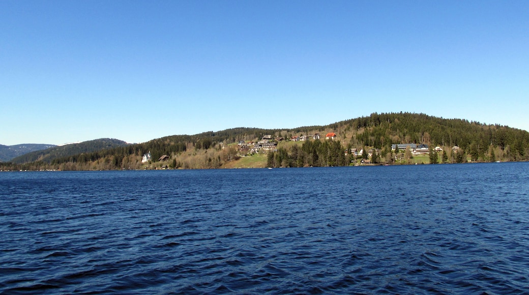Foto "Lago Titisee" por Baden de (CC BY) / Recortada de la original
