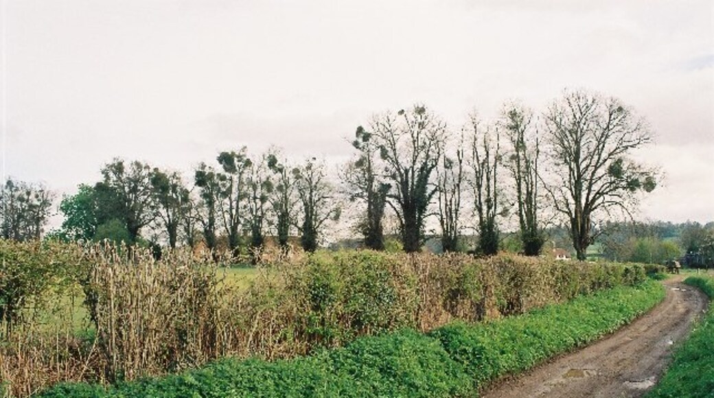 Photo "Compton and Shawford" by Pierre Terre (CC BY-SA) / Cropped from original