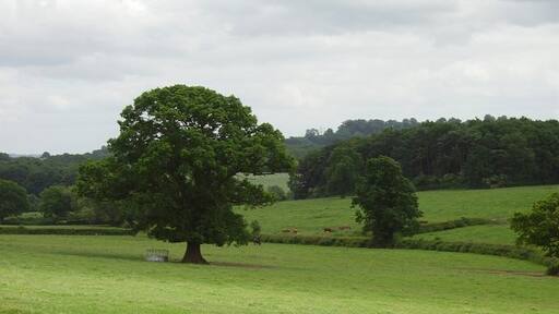 "Ludford"-foto av Richard Webb (CC BY-SA) / Urklipp från original