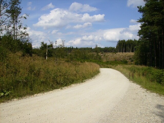 Kuva ”Newton” käyttäjältä Phil Catterall (CC BY-SA) / rajattu alkuperäisestä kuvasta