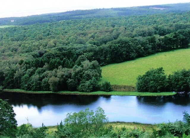 Photo "Stape" by Hugh Chappell (CC BY-SA) / Cropped from original