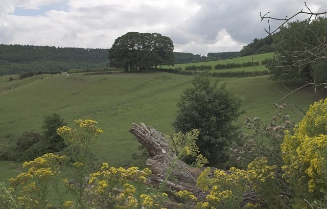 Photo "Broxa-cum-Troutsdale" by colin grice (CC BY-SA) / Cropped from original