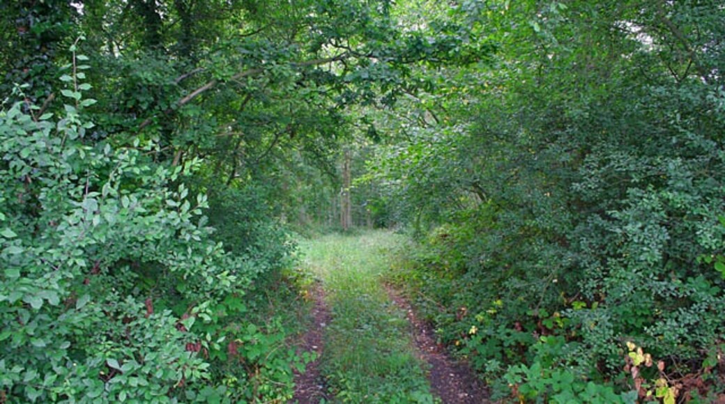 Foto „Bitchfield und Bassingthorpe“ von Kate Jewell (CC BY-SA)/zugeschnittenes Original