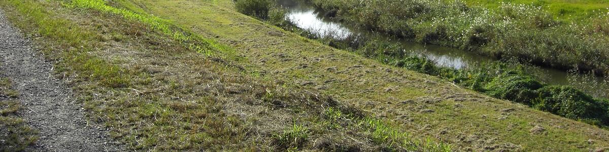 Photo "利根運河3" by senryuto (Creative Commons Attribution 3.0) / Cropped from original