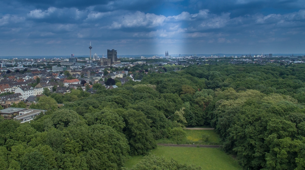 Foto „Braunsfeld“ von Dronepicr (CC BY)/zugeschnittenes Original