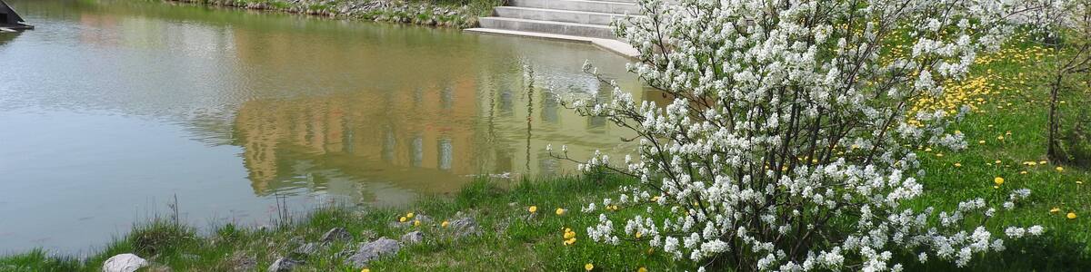 Photo "Teich in Gräfenwarth, Thüringen" by undefined (Creative Commons Zero, Public Domain Dedication) / Cropped from original