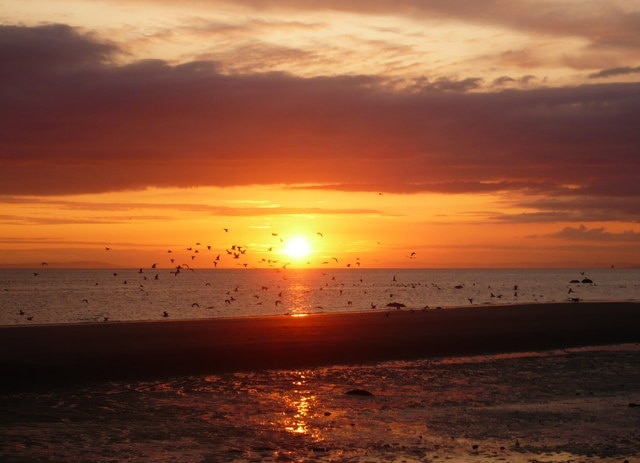Sunset and gulls from Girvan beach Viewed from just south of the harbour.