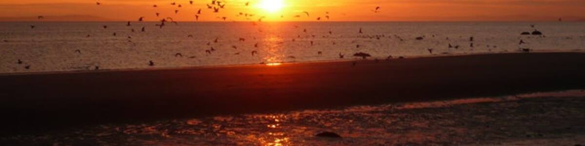 Photo "Sunset and gulls from Girvan beach Viewed from just south of the harbour." by pam fray (Creative Commons Attribution-Share Alike 2.0) / Cropped from original