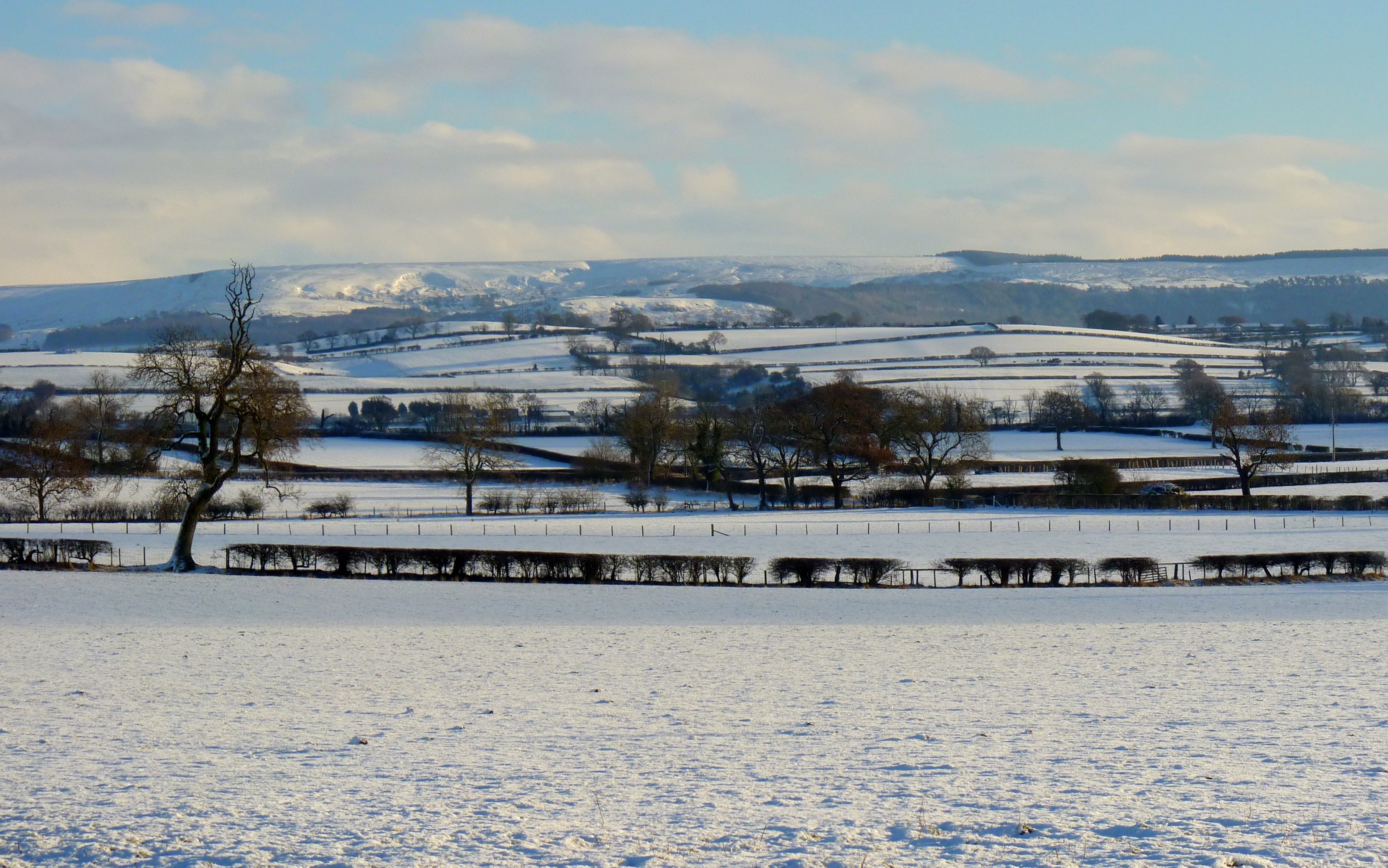 Foto “Thornton-le-Beans” tomada por Chris Combe (CC BY); recorte de la original