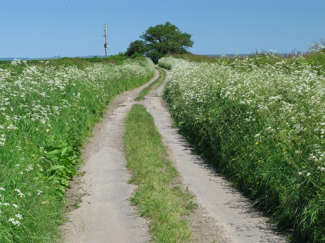 Ảnh "Middleton Quernhow" của David Rogers (CC BY-SA) / Cắt từ ảnh gốc