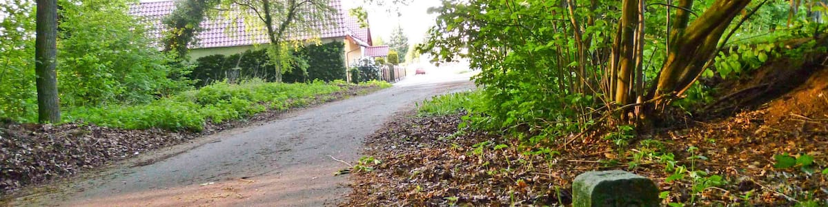 Photo "Historischer Grenzstein. Läuferstein Nr. 19 zwischen Grenzstein 16 und 17 der sächsisch-preußischen Grenze 1815 (Wiener Kongress)" by Radler59 (Creative Commons Attribution-Share Alike 3.0) / Cropped from original