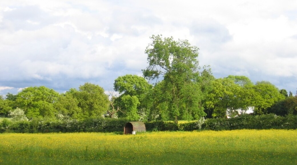 "Wythall"-foto av David Stowell (CC BY-SA) / Urklipp från original