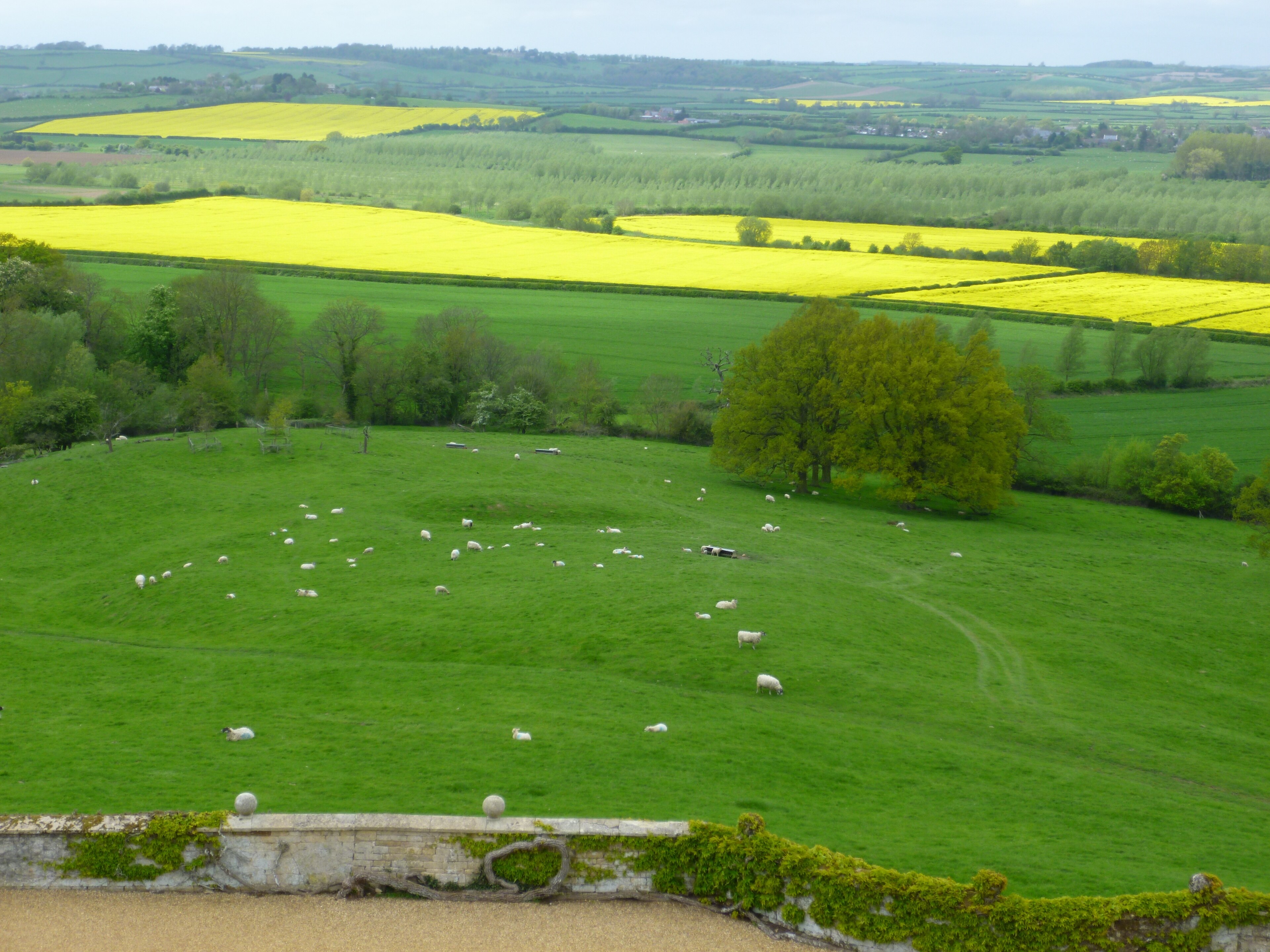 Foto “Rockingham” tomada por Richard Humphrey (CC BY-SA); recorte de la original