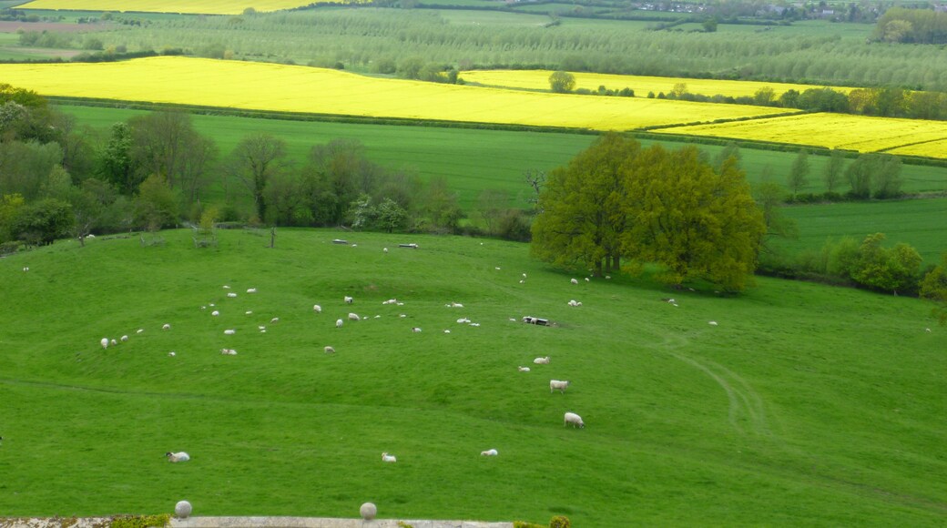 Foto “Rockingham” tomada por Richard Humphrey (CC BY-SA); recorte de la original
