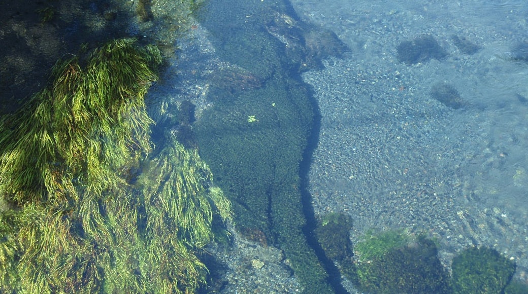 Kakita river is located in Shimizu town, Shizuoka prefecture, Japan.