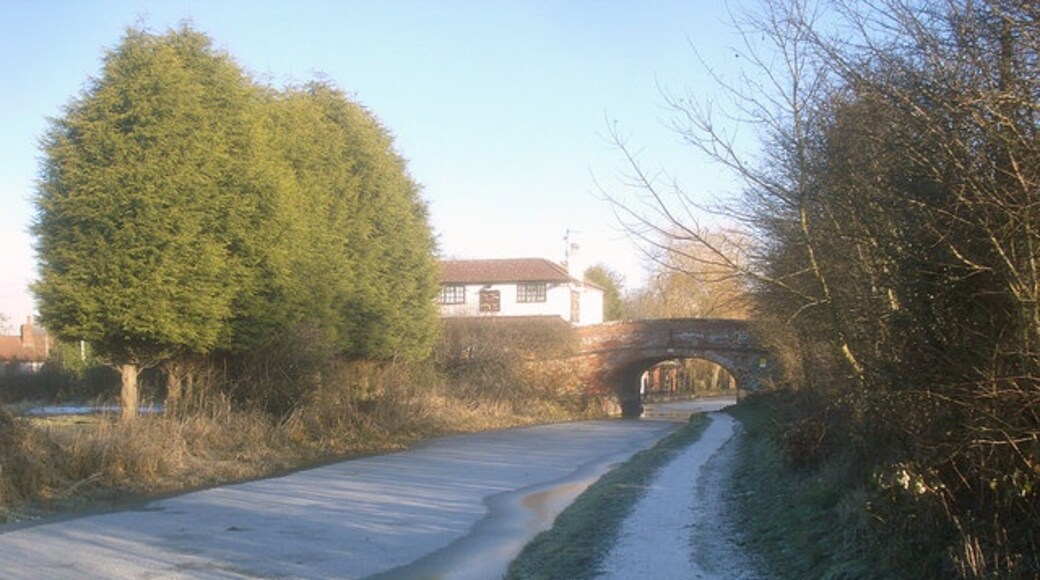 Foto “Stoke” tomada por Trevor Rickard (CC BY-SA); recorte de la original