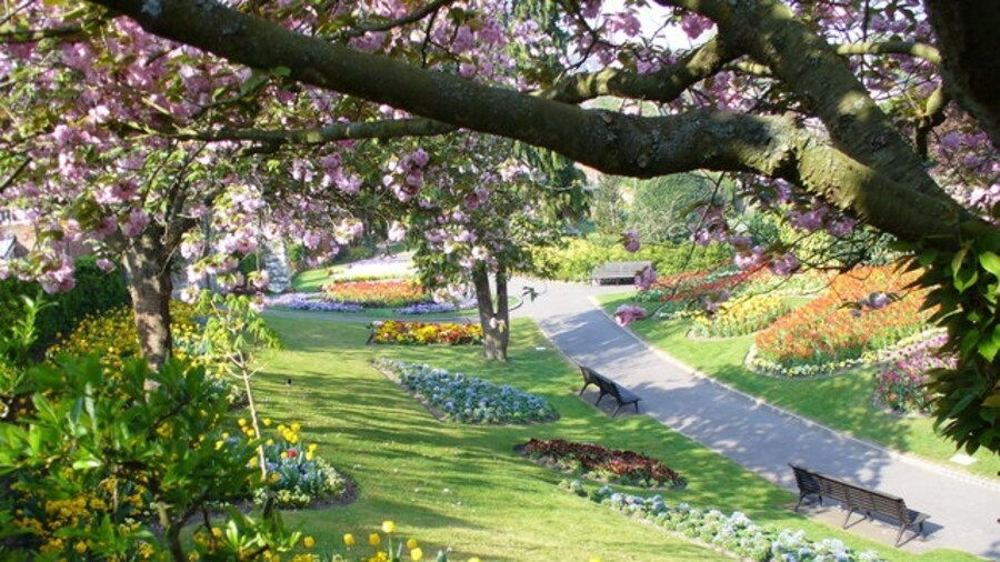 Photo "Guildford Castle Gardens Spring colours of cherry blossom and tulip beds." by Colin Smith (Creative Commons Attribution-Share Alike 2.0) / Cropped from original