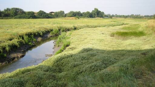 Billede "Stambridge" af Nigel Cox (CC BY-SA) / beskåret fra det originale billede