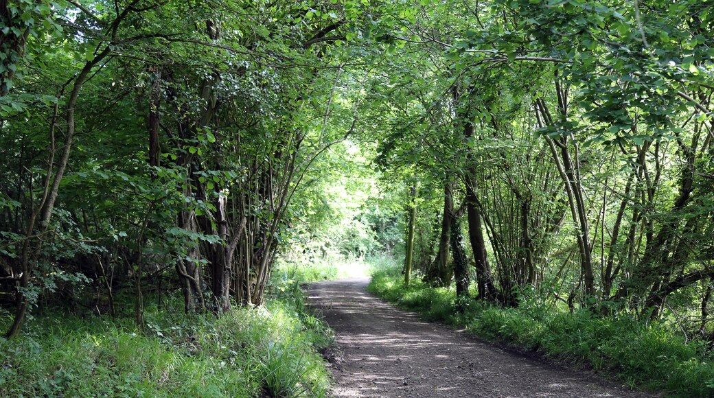 Kuva ”Good Easter” käyttäjältä Acabashi (CC BY-SA) / rajattu alkuperäisestä kuvasta