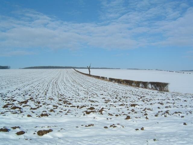 Foto “Goodmanham” tomada por Paul Allison (CC BY-SA); recorte de la original