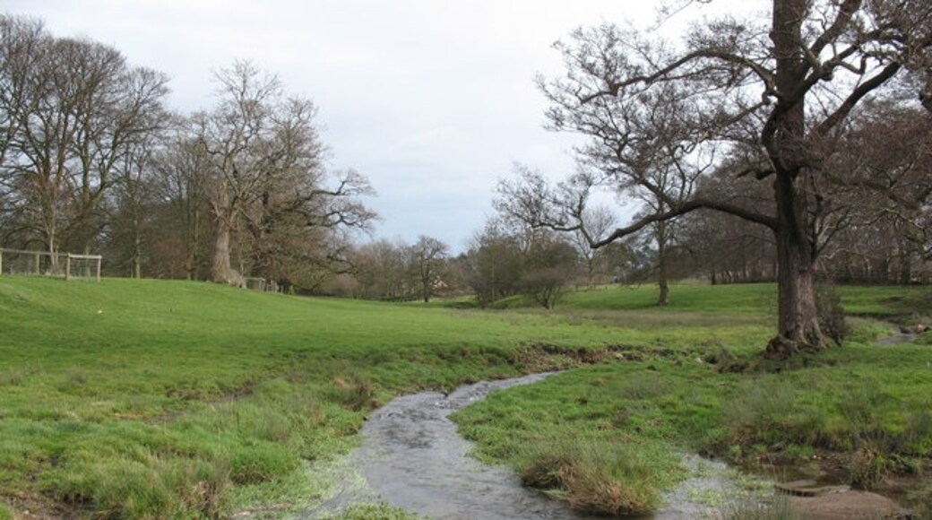 Foto “Firby” tomada por Gordon Hatton (CC BY-SA); recorte de la original