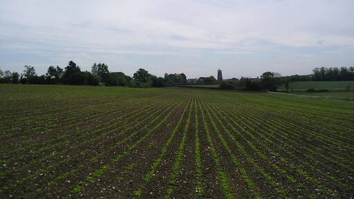 Ảnh "Burgh" của Chris Holifield (CC BY-SA) / Cắt từ ảnh gốc