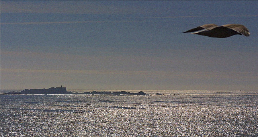 Isla Lobeira