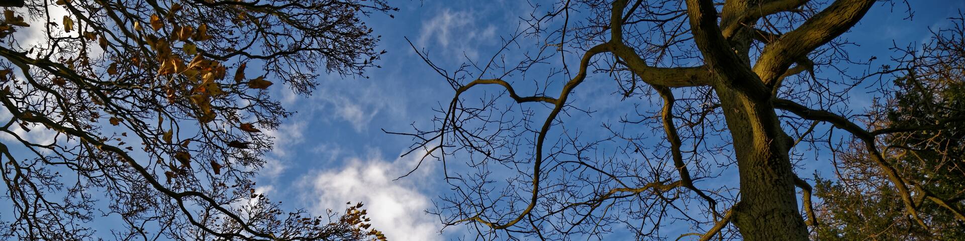 A Ryanair Boeing 737 passenger aircraft in descent to London Stansted Airport over Broxted, Essex, England. Software: JPEG file optimized and/or cropped and/or spun with DxO OpticsPro 10 Elite and Adobe Photoshop CS2.