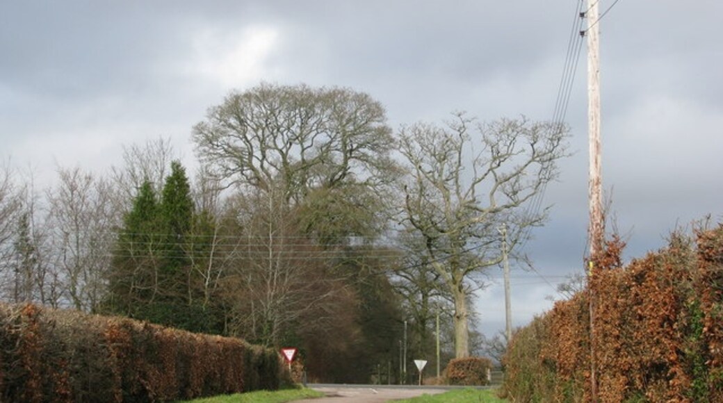 Foto “West Hill” tomada por Sarah Charlesworth (CC BY-SA); recorte de la original