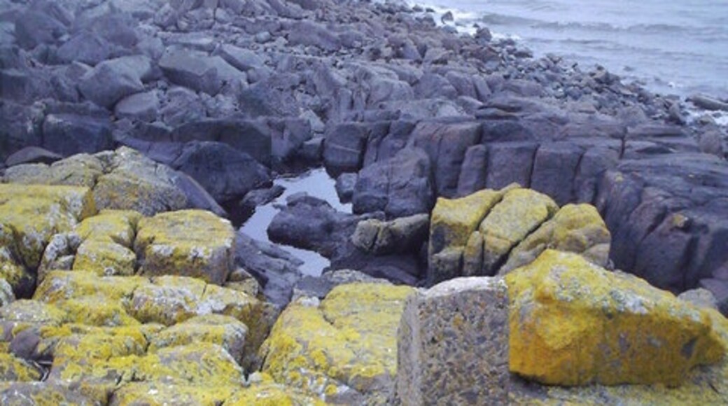 Photo "Cramond Island" by Dr Duncan Pepper (CC BY-SA) / Cropped from original