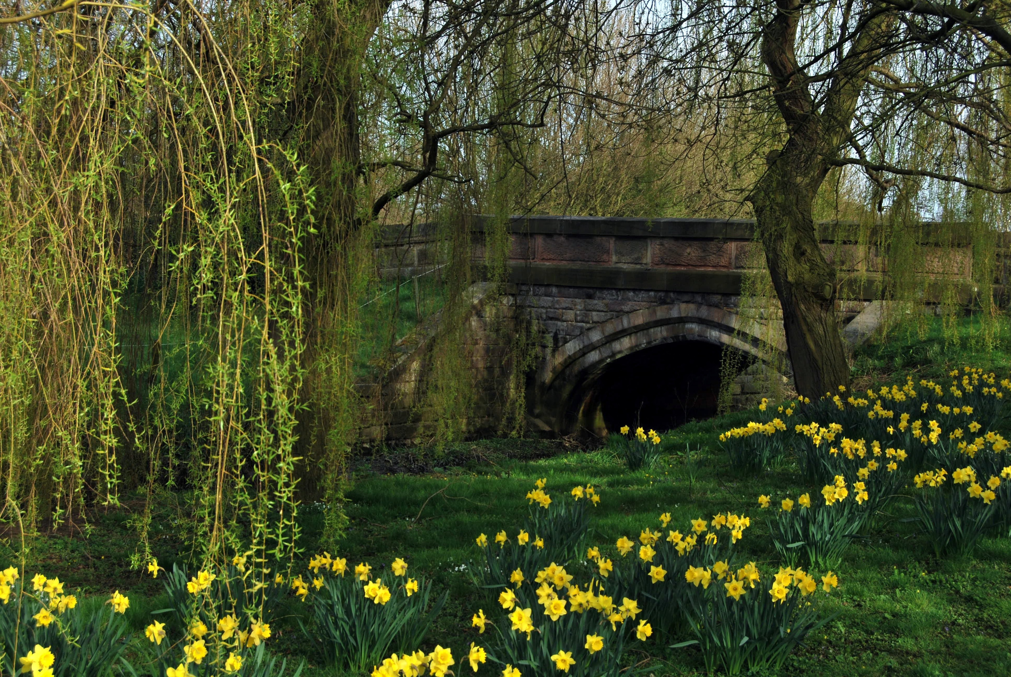 Photo "Kingston on Soar" by Rpriv2000 (CC BY-SA) / Cropped from original