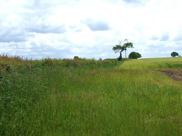 Foto “Girsby” tomada por Gordon Hatton (CC BY-SA); recorte de la original
