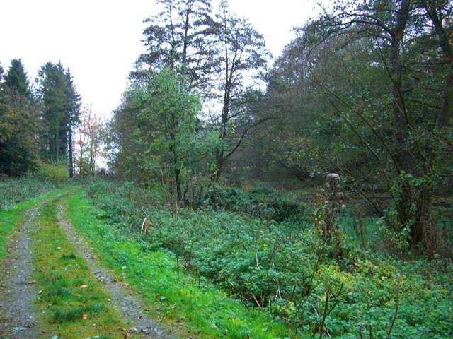 Erlestoke Park Woods footpath Part of the track through Erlestoke Park Woods.