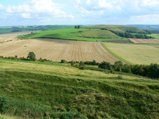 Middle Hill, near Norton Bavant, Wiltshire In the foreground is the eastern edge of Battlesbury Hill. The green hill behind the field is Middle Hill, the nearest part of which is in this square as are its strip lynchets on the extreme left of the hill. Behind Middle Hill, and not so green, is Scratchbury Hill.