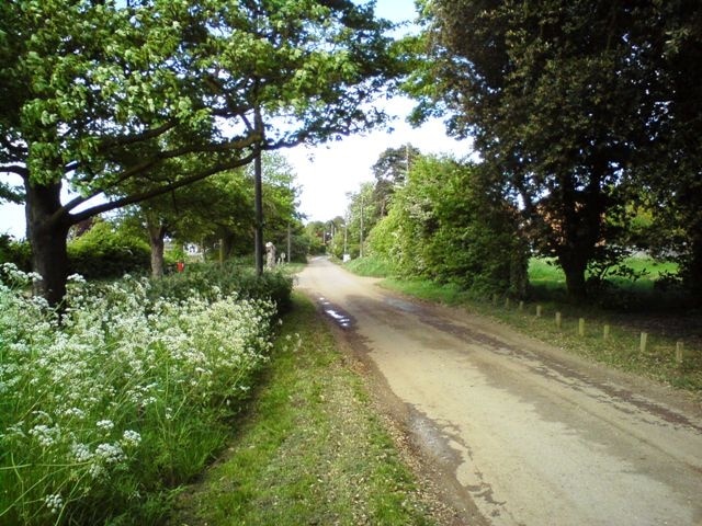 Cordy's Lane Looking back along the lane from the entrance to the Trimley Marshes Nature Reserve.