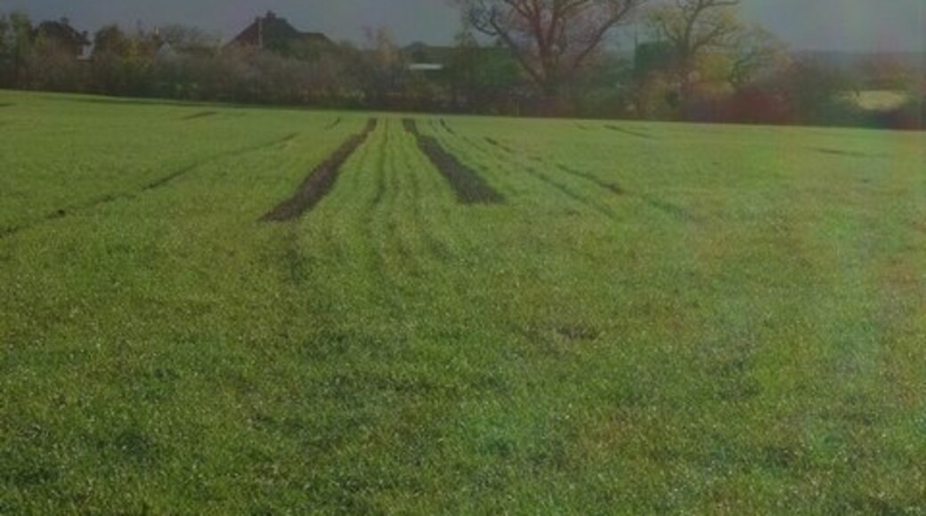 Photo "Graveney with Goodnestone" by pam fray (CC BY-SA) / Cropped from original