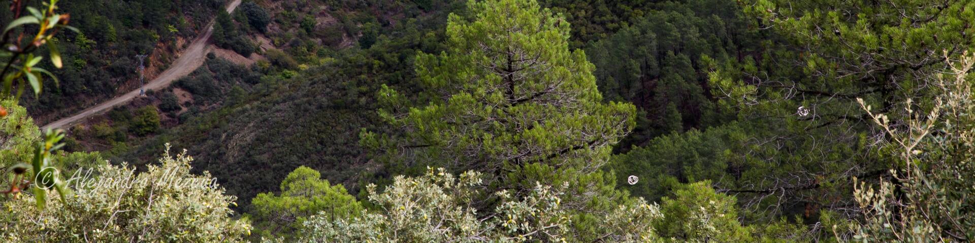 Ladrillar, Extremadura, España
