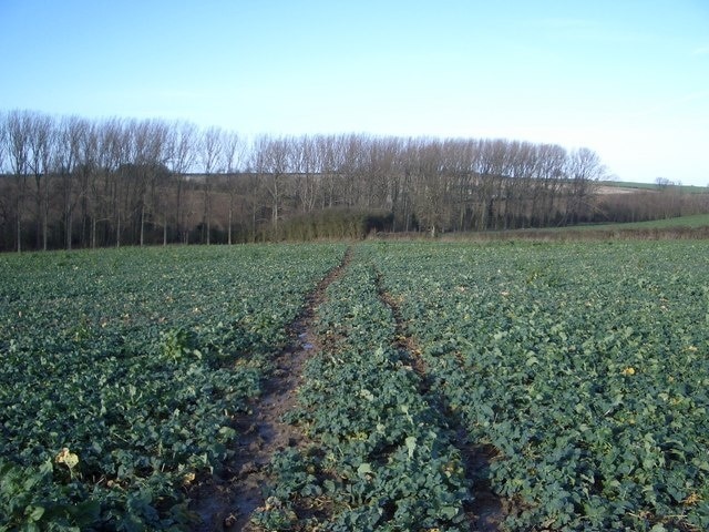 Bridleway Northeast of Farndish This bridleway, marked by vehicle tracks, looks northwestwards and leads from Poddington to connect with the Byway that runs across the fields from north of Farndish to a road southwest of Wymington.