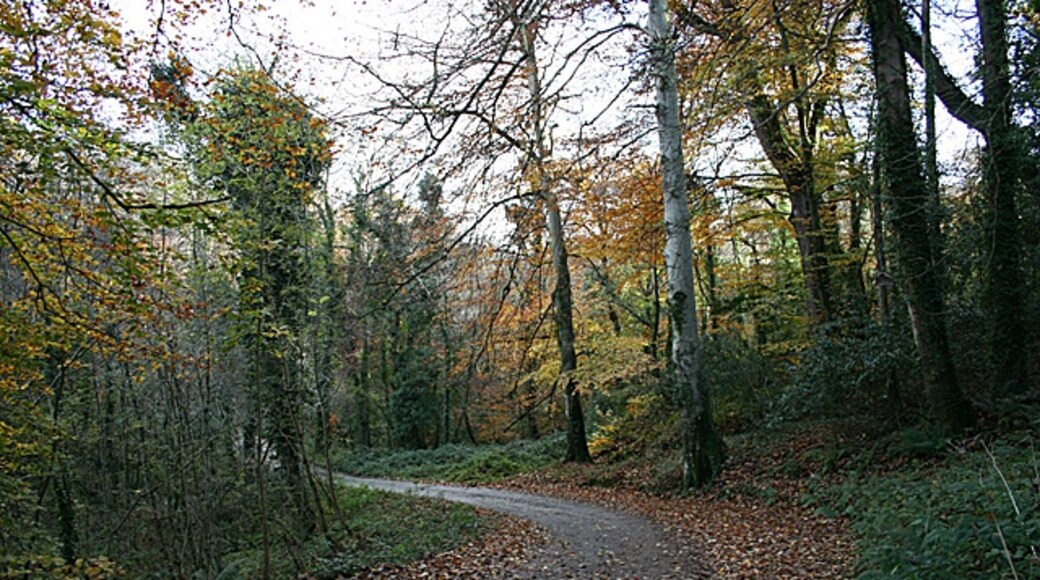 Kuva ”St. Michael Penkevil” käyttäjältä Fred James (CC BY-SA) / rajattu alkuperäisestä kuvasta