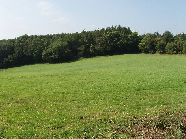 Mousells Wood Seen across pasture from public footpath. It is between Frieth and Fingest.