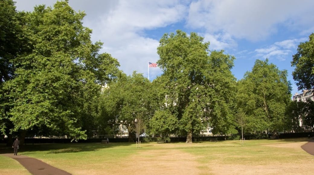 Foto „Grosvenor Square“ von Bill Harrison (CC BY-SA)/zugeschnittenes Original