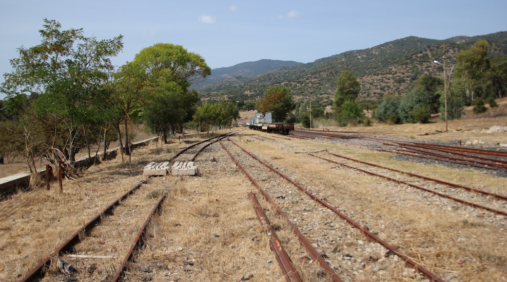 « Illorai», photo de Discanto (CC BY-SA) / rognée de l’originale