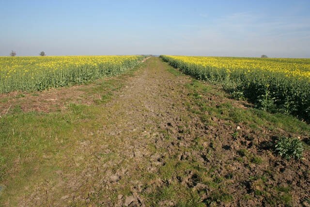 Foto “Fenton” tomada por Kate Jewell (CC BY-SA); recorte de la original