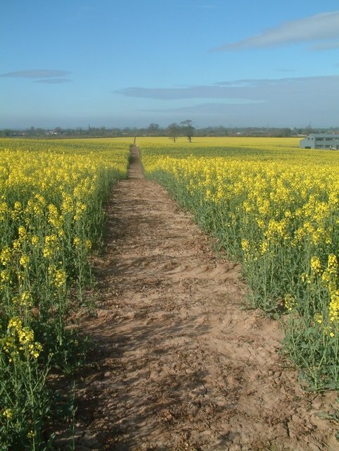 Ảnh "Cauldwell" của Mark Walton (CC BY-SA) / Cắt từ ảnh gốc