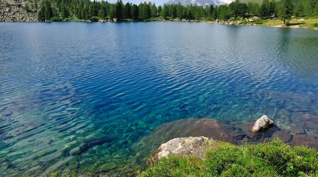 Photo "Lago di Val Viola" by Simisa (CC BY-SA) / Cropped from original