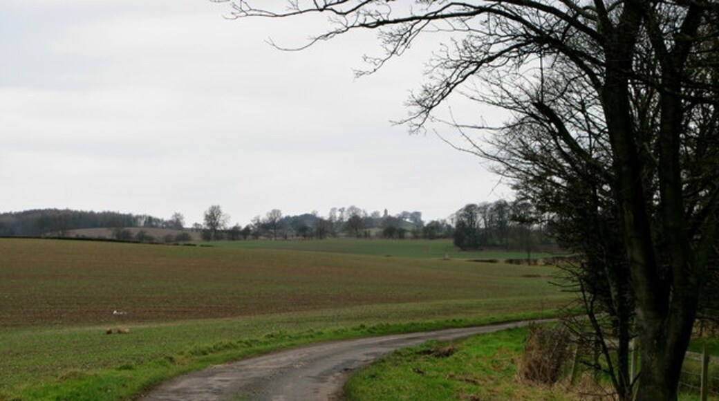 "Markenfield Hall"-foto av David Rogers (CC BY-SA) / Urklipp från original
