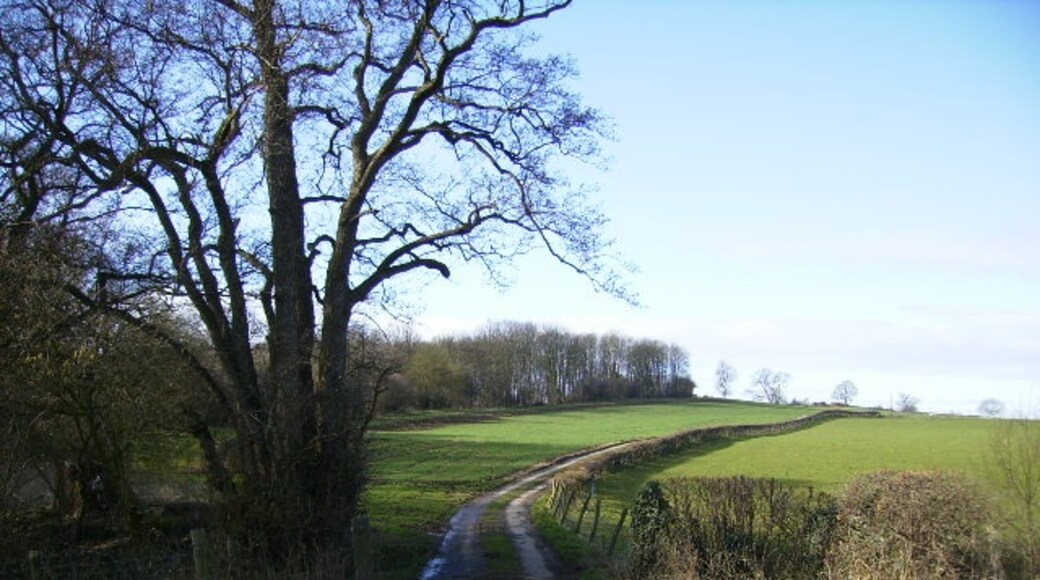 Foto “Newburgh” tomada por Phil Catterall (CC BY-SA); recorte de la original