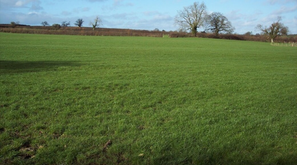 Foto "Lydlinch" por Trish Steel (CC BY-SA) / Recortada de la original