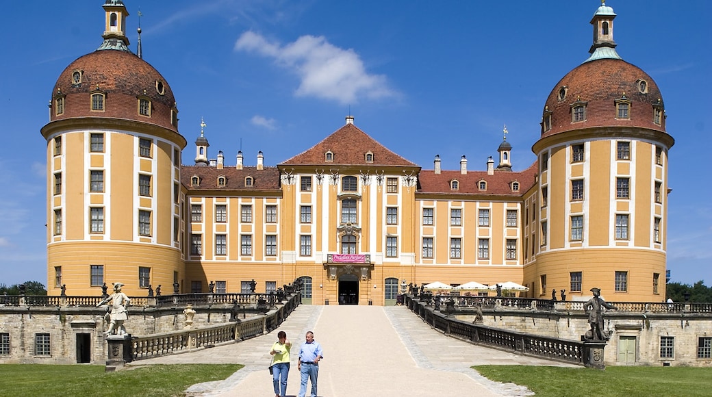 Slottet Moritzburg