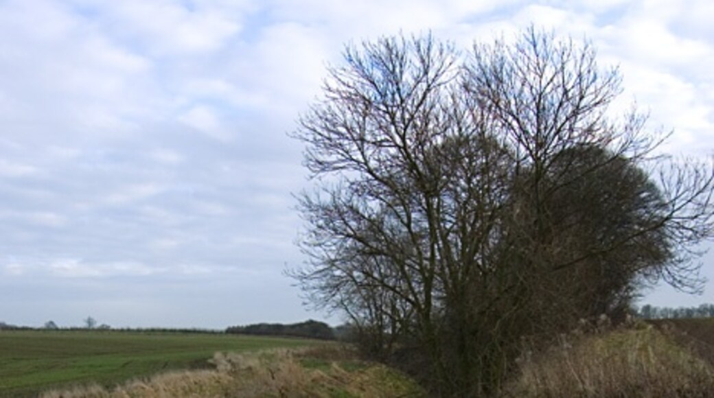 "Skirlaugh"-foto av Paul Harrop (CC BY-SA) / Urklipp från original